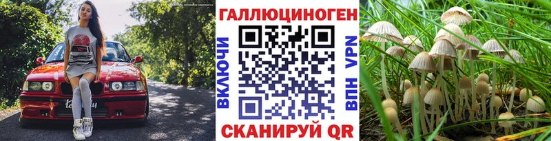 Галлюциногенные грибы GOLDEN TEACHER  дарнет шоп  Елец 